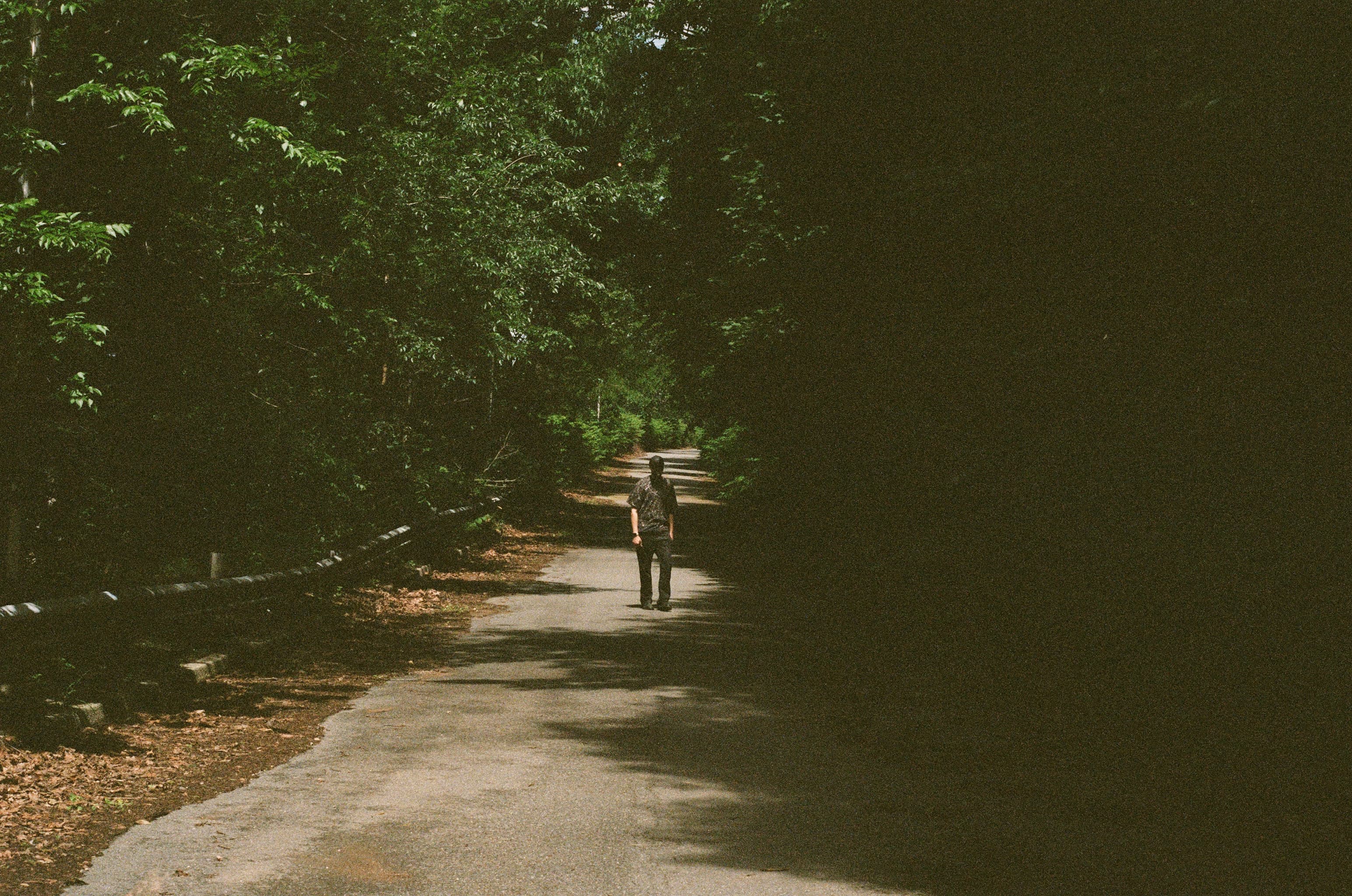 Lorenzo walking a wooded road